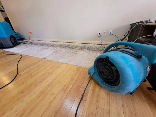 Professional Burst Pipe Water Damage technician working in Woodland Hills, CA